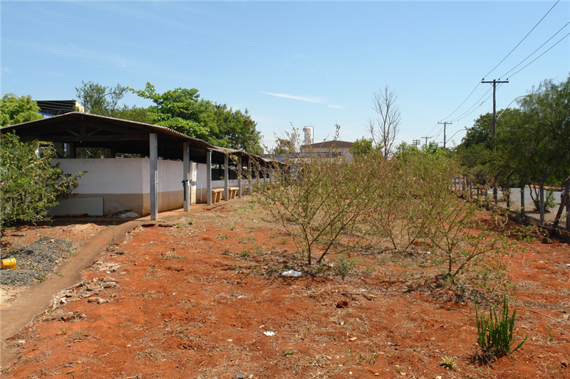 Campo de malha desativado no Cidade Nova.