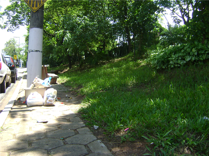 Rua Manaus cruzaria canteiro da avenida Antonio Pedroso.