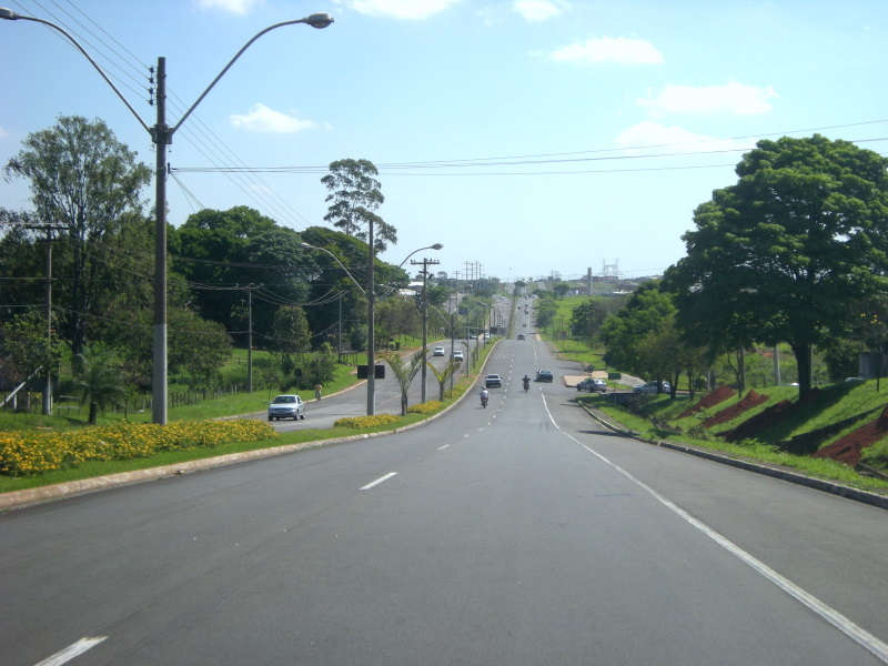 Pinguim pede construção de rotatória na avenida Santa Bárbara. 