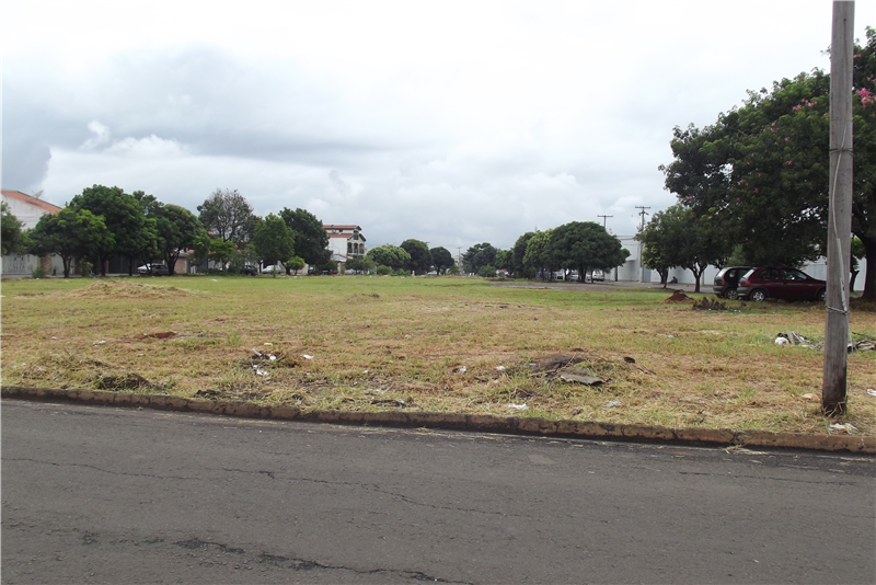 Após sugestão do vereador Carlão, Prefeitura efetuou limpeza de área pública