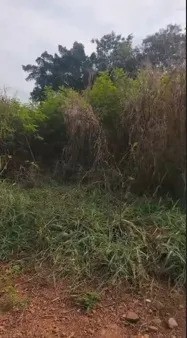 Vereador questiona condições de praça no Cidade Nova II