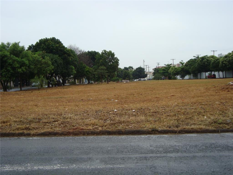 Área no Jardim Dulce foi limpa após pedido do vereador Dr. José