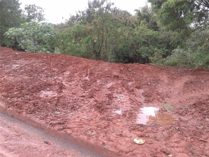 Após pedido de Pinguim, que acompanhou secretário de verno ao local, Prefeitura efetuou limpeza de área na rua da Ervilha