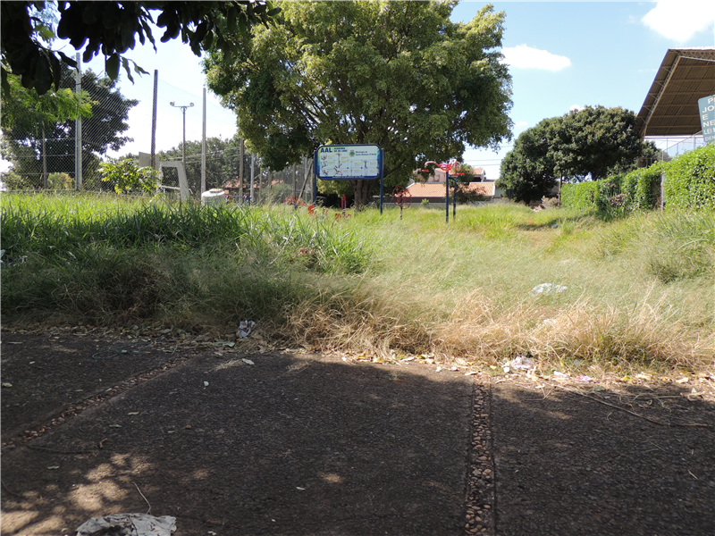 Vereador Carlão Motorista cobra limpeza urgente de área no Jardim dos Cedros