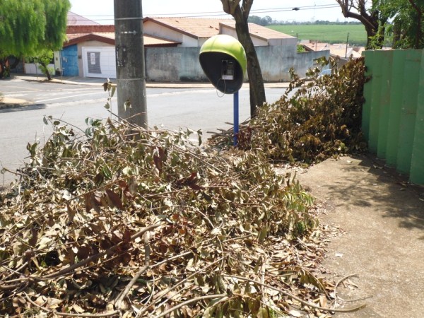 Bebeto cobra limpeza ao redor de escolas estaduais