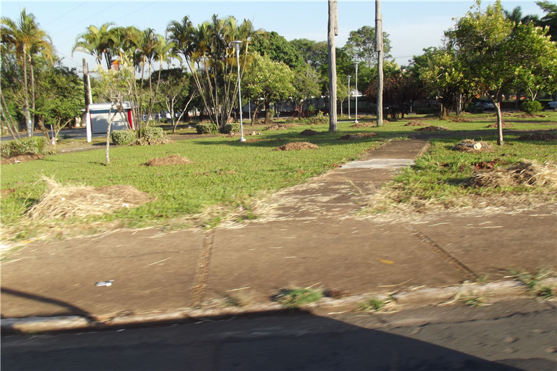 Limpeza de praça na Vila Diva foi executada a pedido de Carlão.