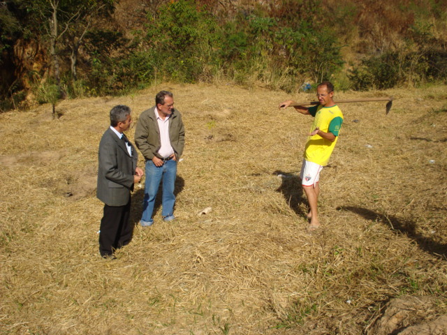 Mudas serão plantadas em área pública, de preservação ambiental, próxima a córre