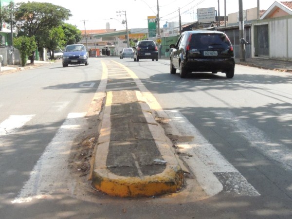 Carlão quer canteiro central ao longo da avenida