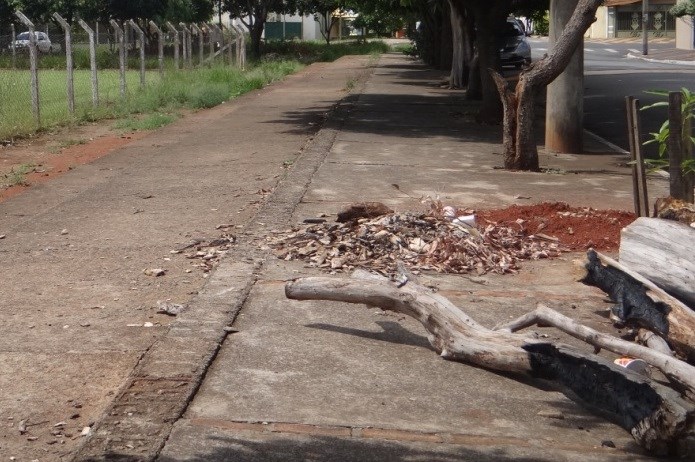 Mato alto e árvores caídas afastam população do local