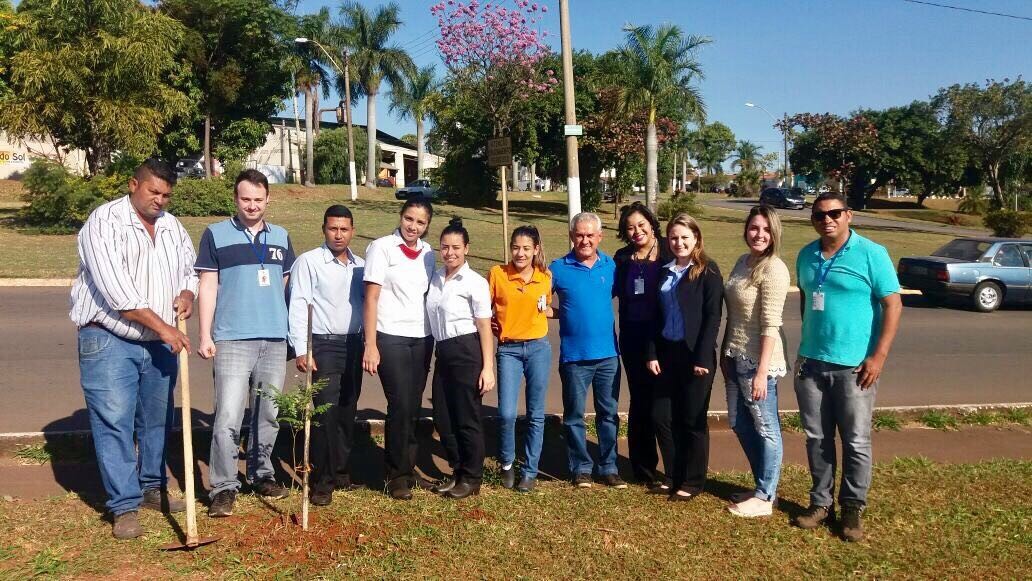 Plantio da primeira muda foi realizado na av. Santa Bárbara